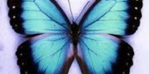 rqvicky's profile banner image