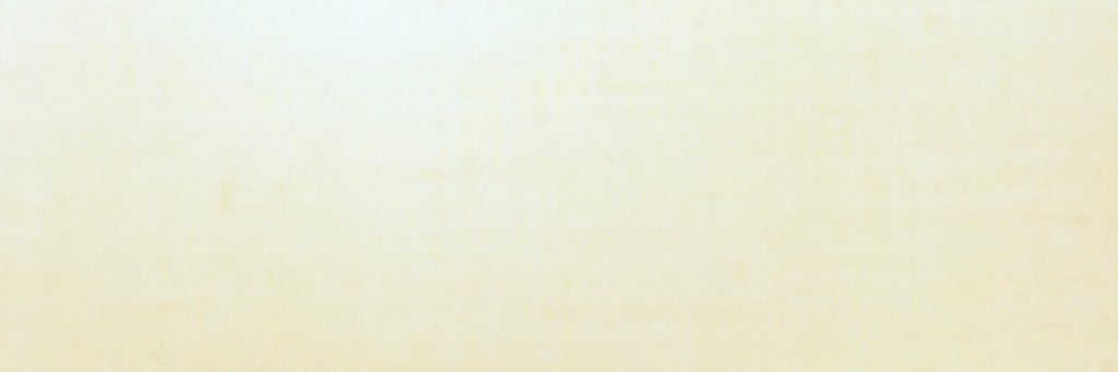 RachelLeeWest's profile banner image