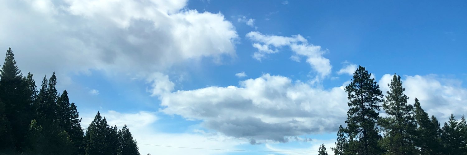 RosaJ_writes's profile banner image