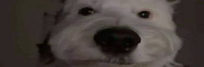 kimzar_'s profile banner image