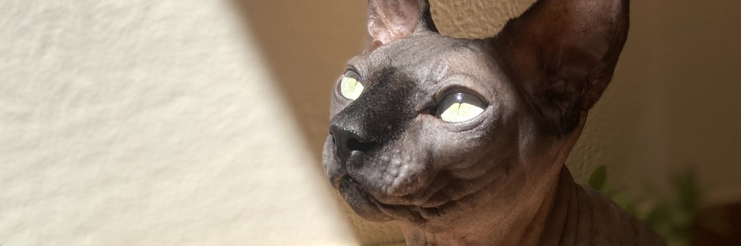 Maguy's profile banner image