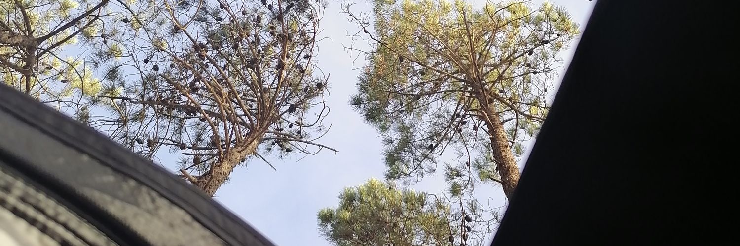 naosoumaria's profile banner image