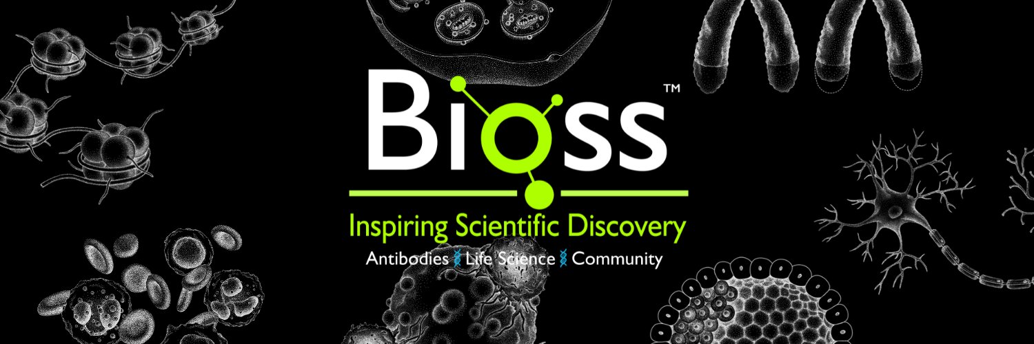 Bioss Antibodies banner
