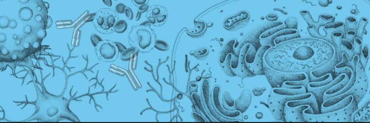 Biossusa's profile banner image