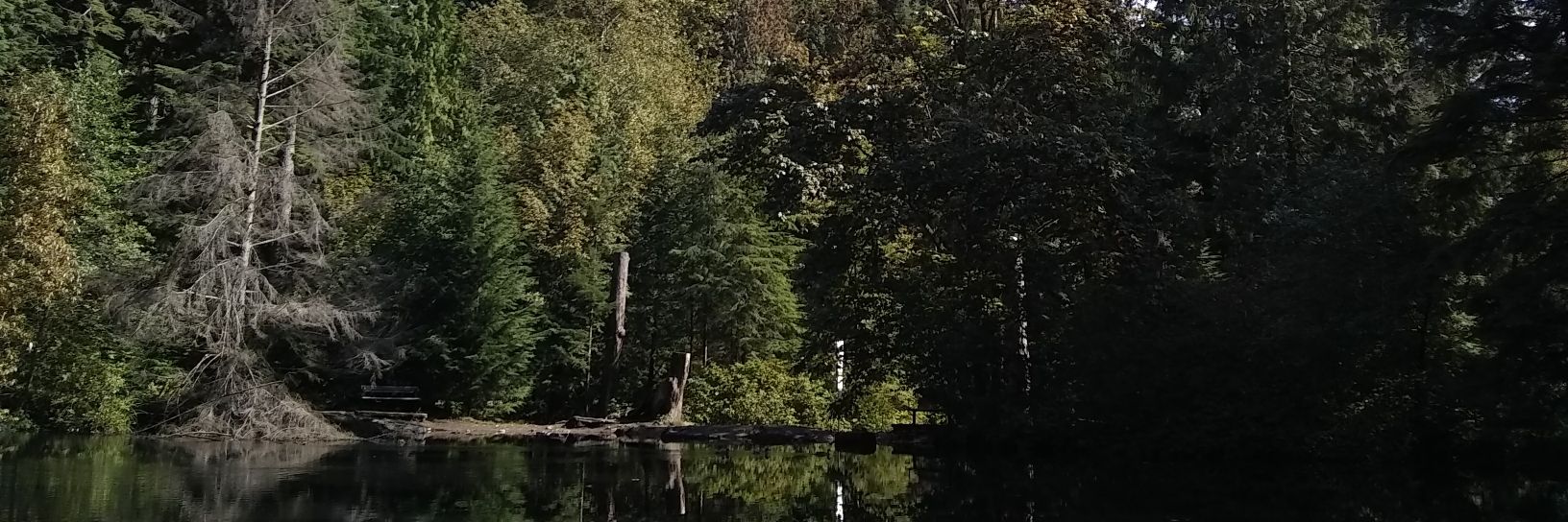 BethWalloch's profile banner image