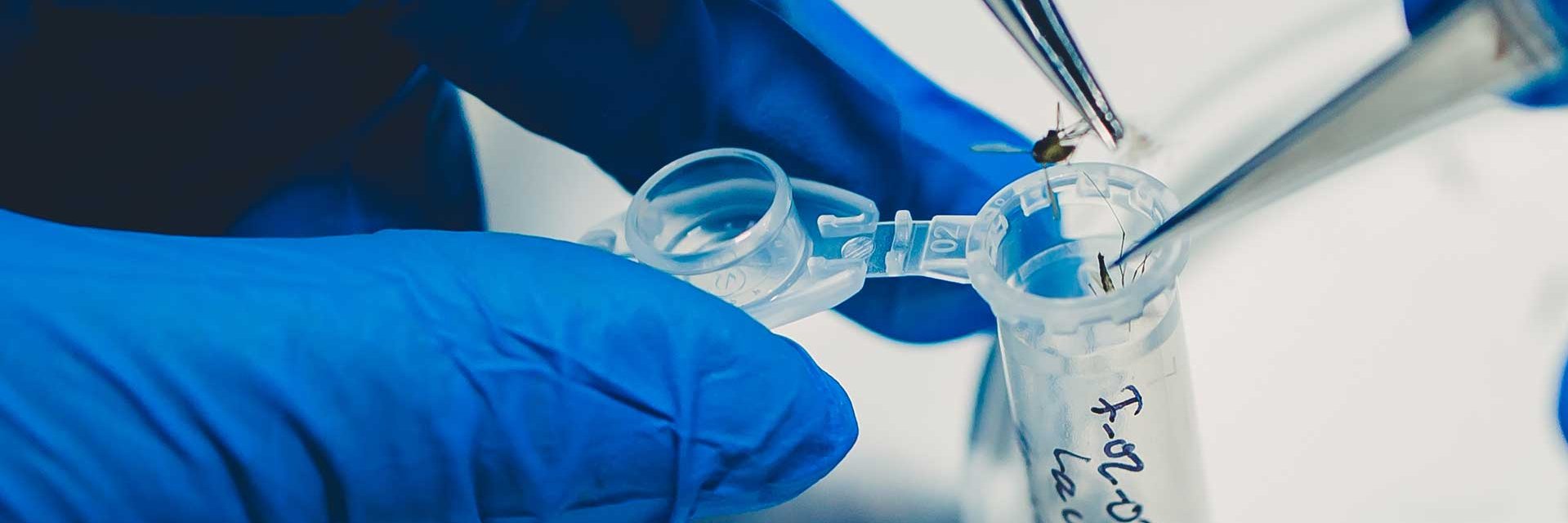 Centro de Estudios en Salud banner