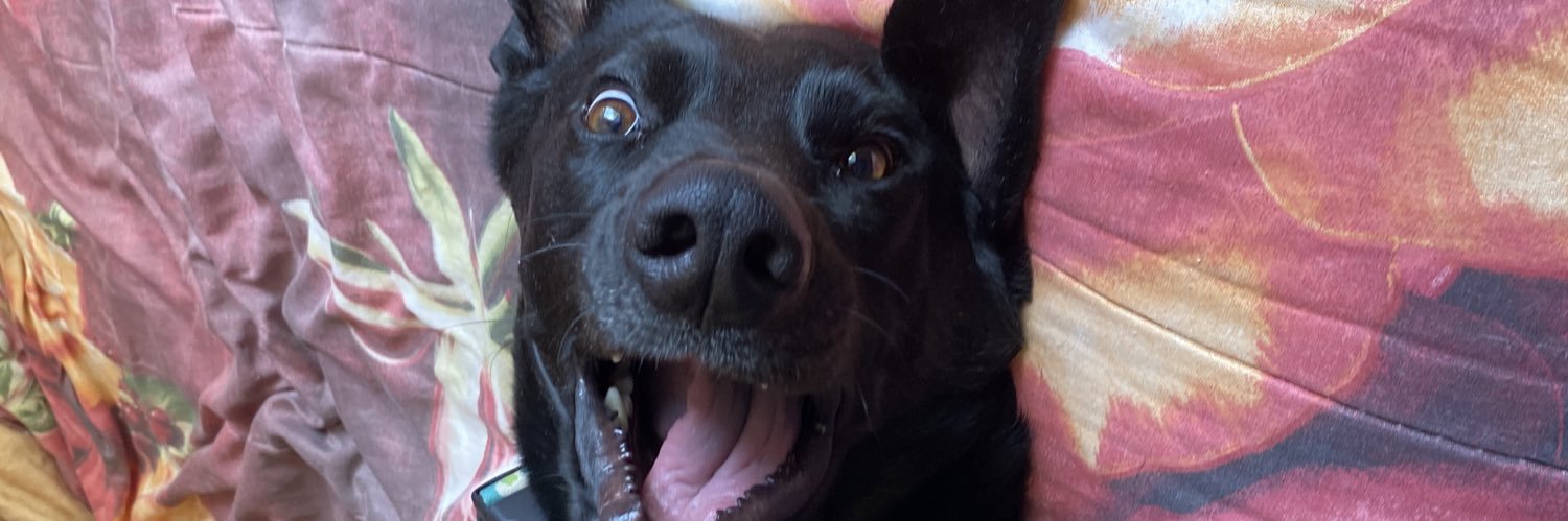 aldilooopez's profile banner image