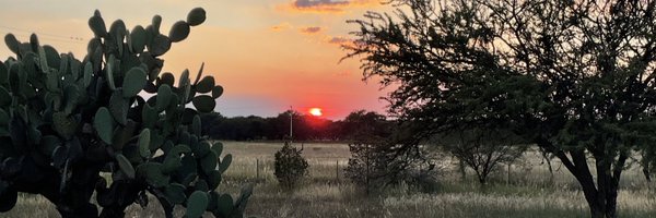 CastelanRob Profile Banner