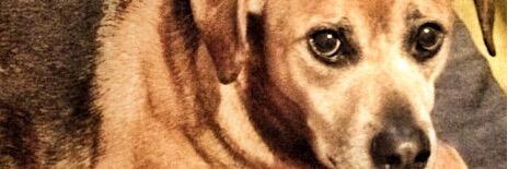 berta_x2's profile banner image