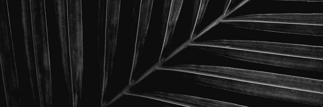 rickvdwijk's profile banner image
