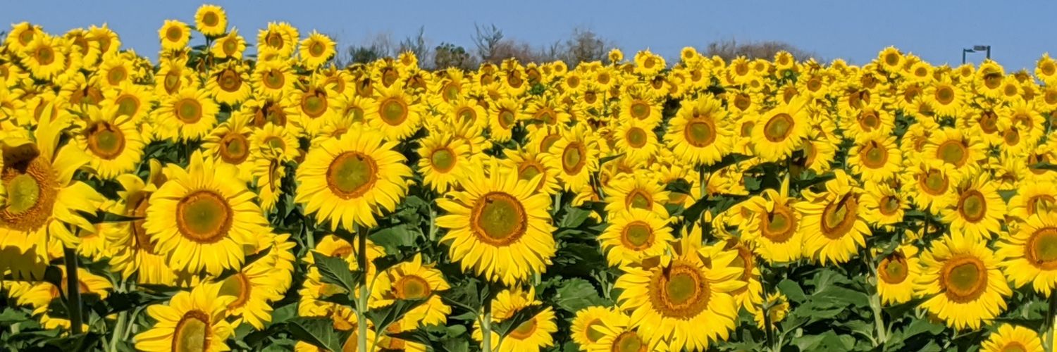 the_first_TH's profile banner image