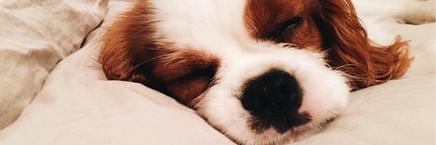 krisstentolbert's profile banner image