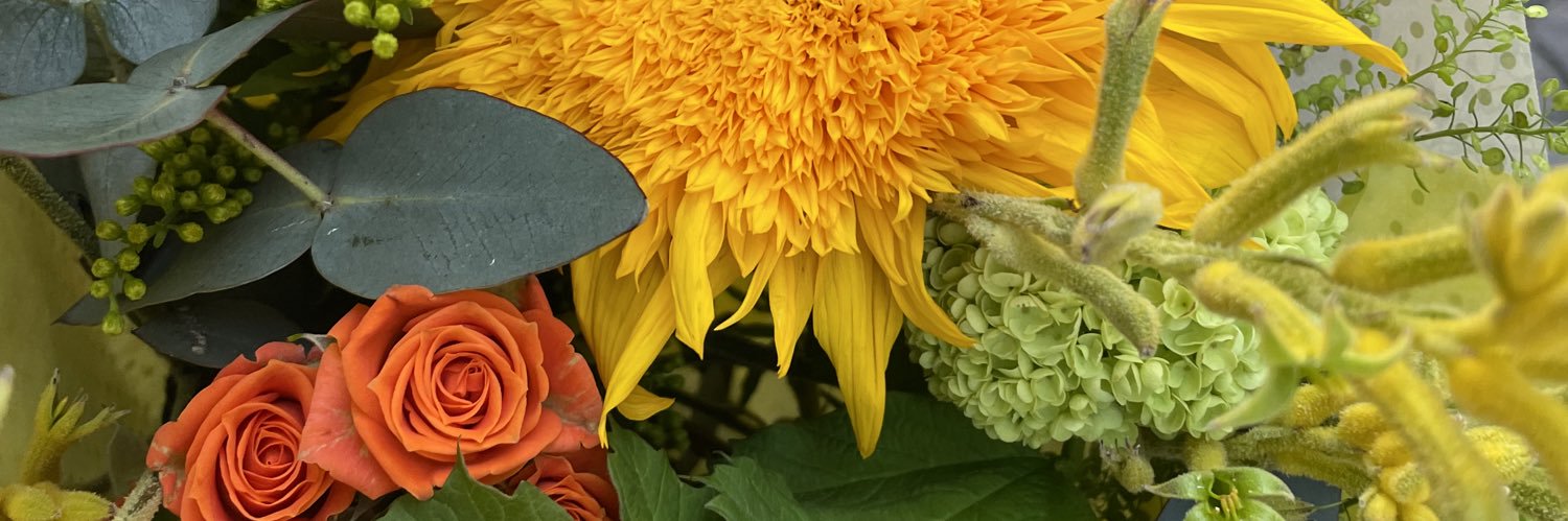 SOTTHS's profile banner image