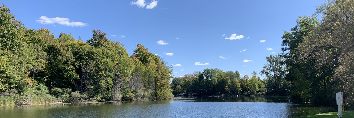 Connie MacDonald banner