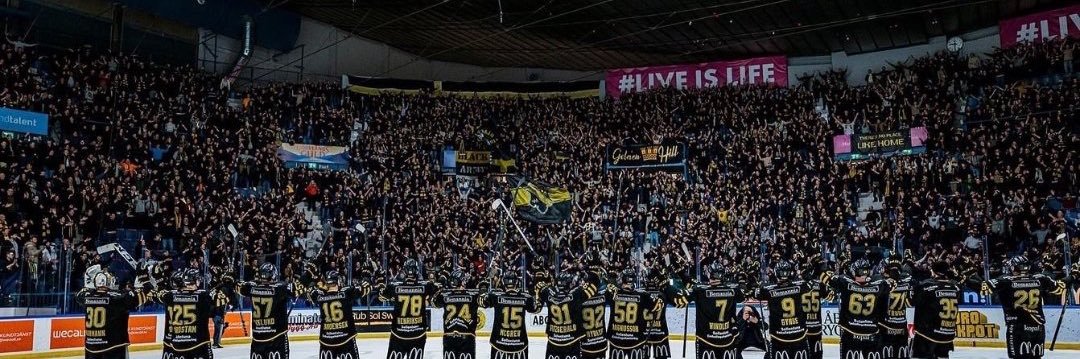 Gnagets nya scout banner