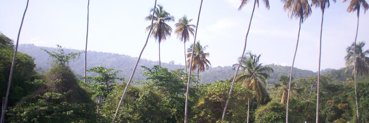 alegar66's profile banner image