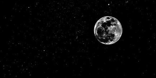 AliCe in WOnderlaNd banner