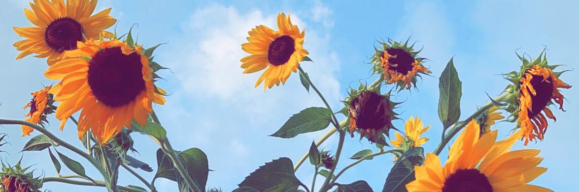 ohaaybri's profile banner image