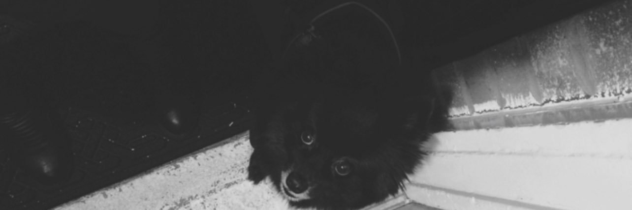 m42ie's profile banner image