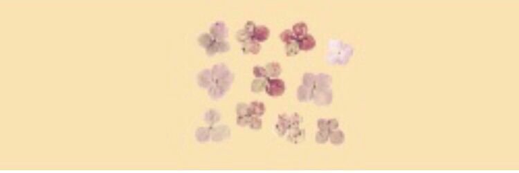 iSelalaftMahone's profile banner image