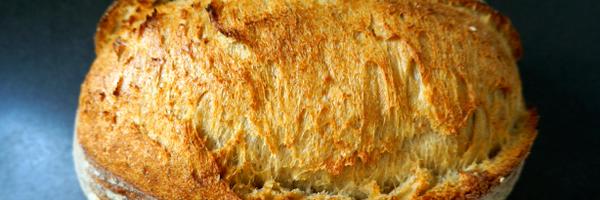 BreadByBike Profile Banner