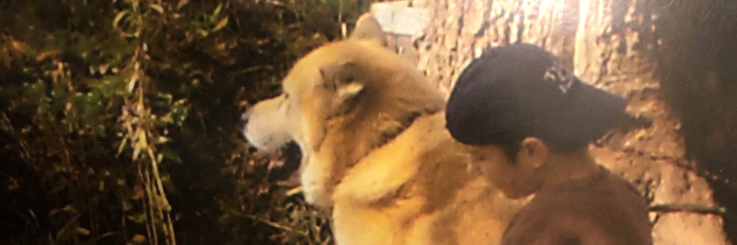 cxreyjames's profile banner image