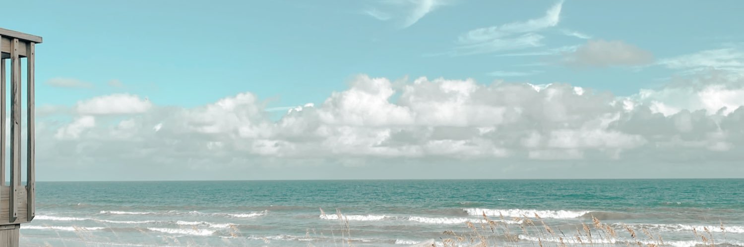velizabeth14's profile banner image
