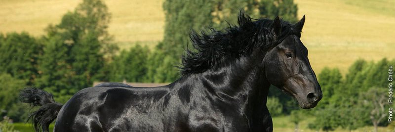 kenikart's profile banner image
