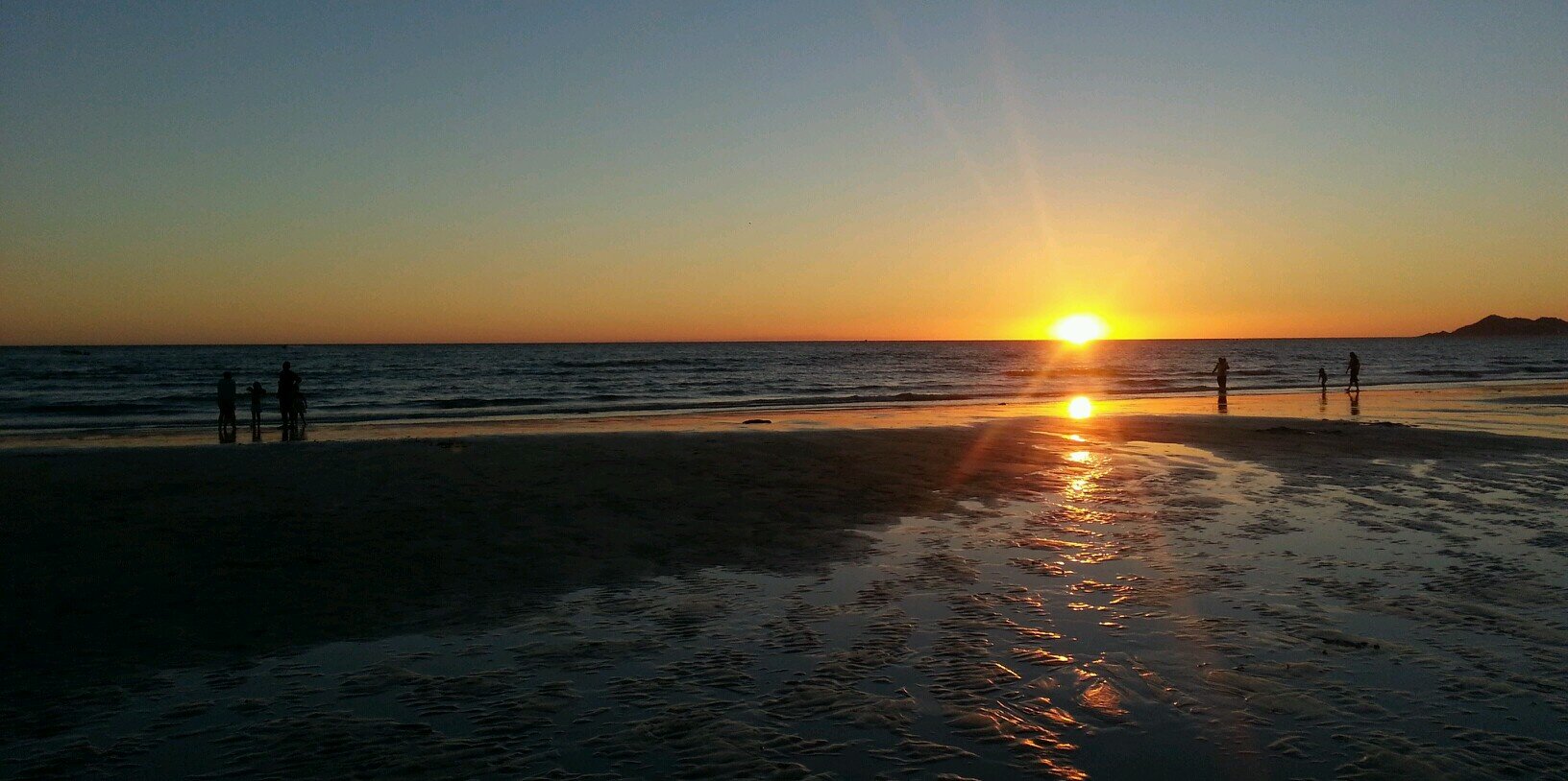 Rachael Hainline banner