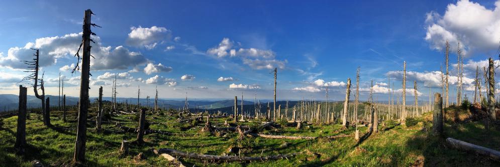 Michal Berlinger banner