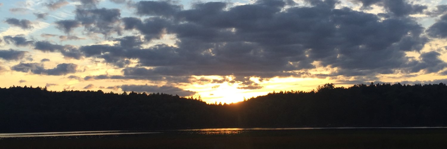 gstenton3's profile banner image