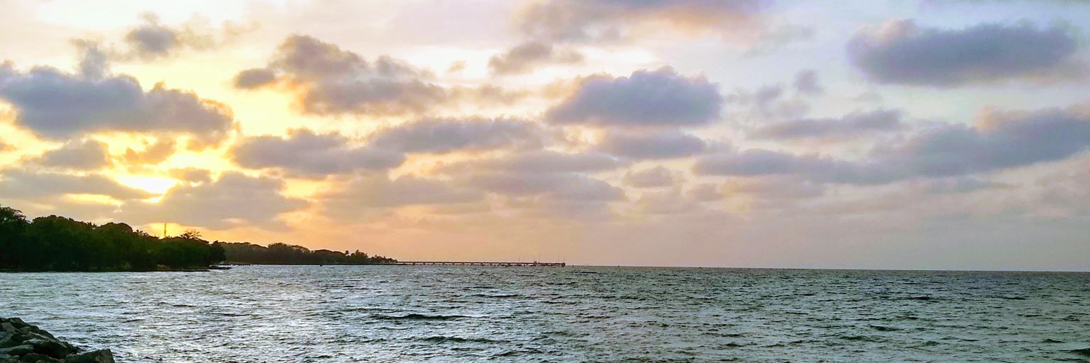 Isamar_Montes's profile banner image