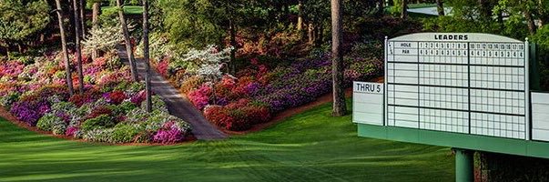 basduke12's profile banner image