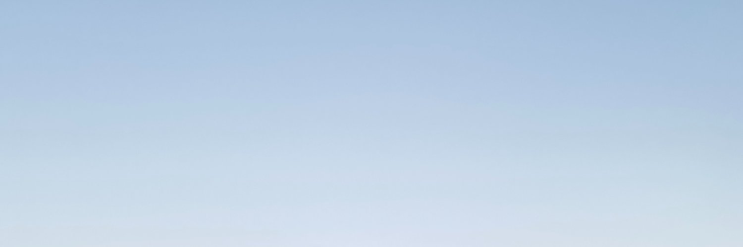 Polina Davletshina banner