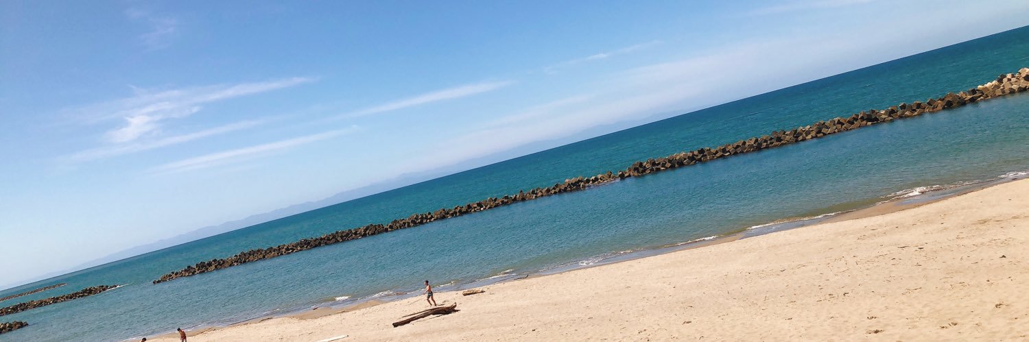 ryuupipi519's profile banner image