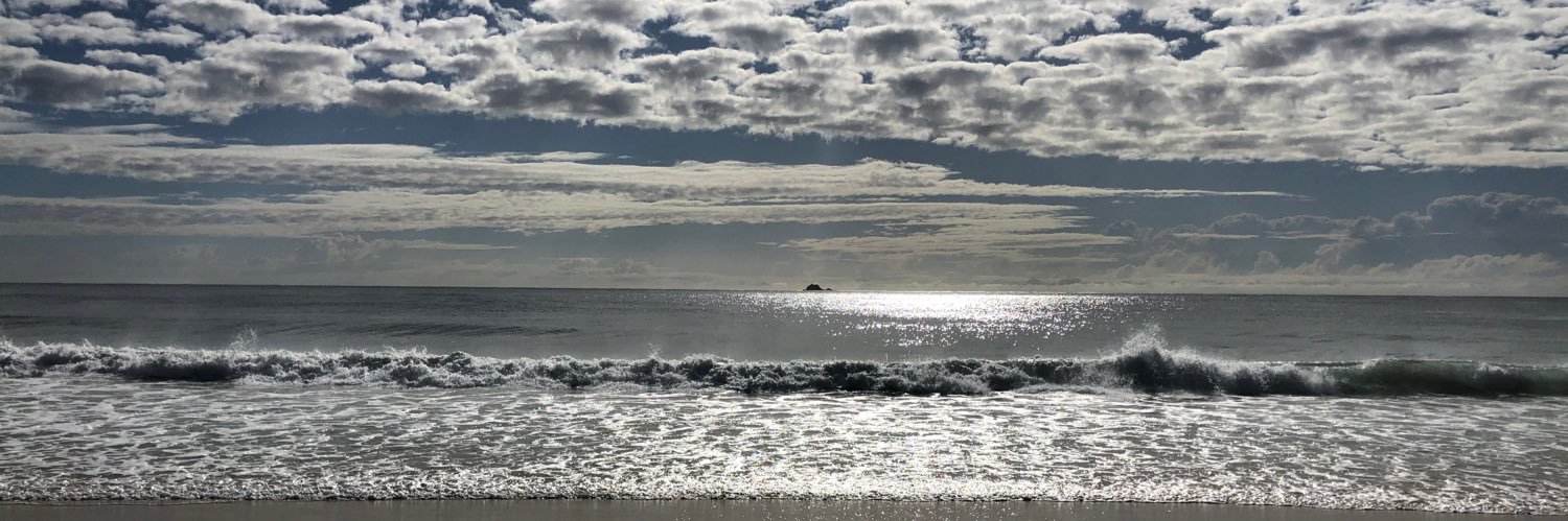 Shane Voted YES - for a fair go banner