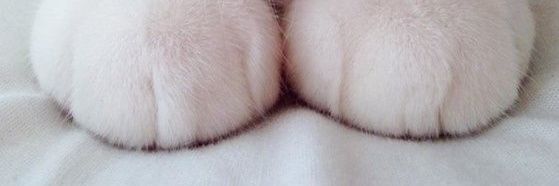 WalterDurang_'s profile banner image