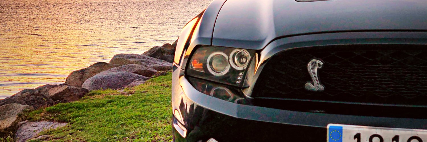 patty dragona banner