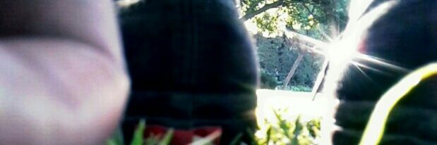 soul_authentic's profile banner image