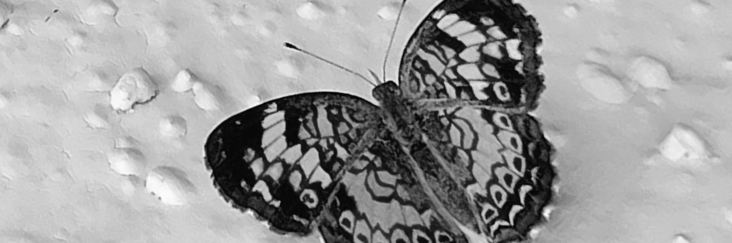 _hopeCo's profile banner image