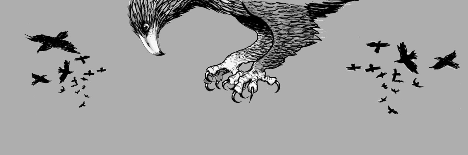 Stunt Crow (@StuntCrow) / Posts / X