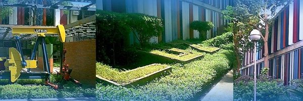 FingLUZ Profile Banner