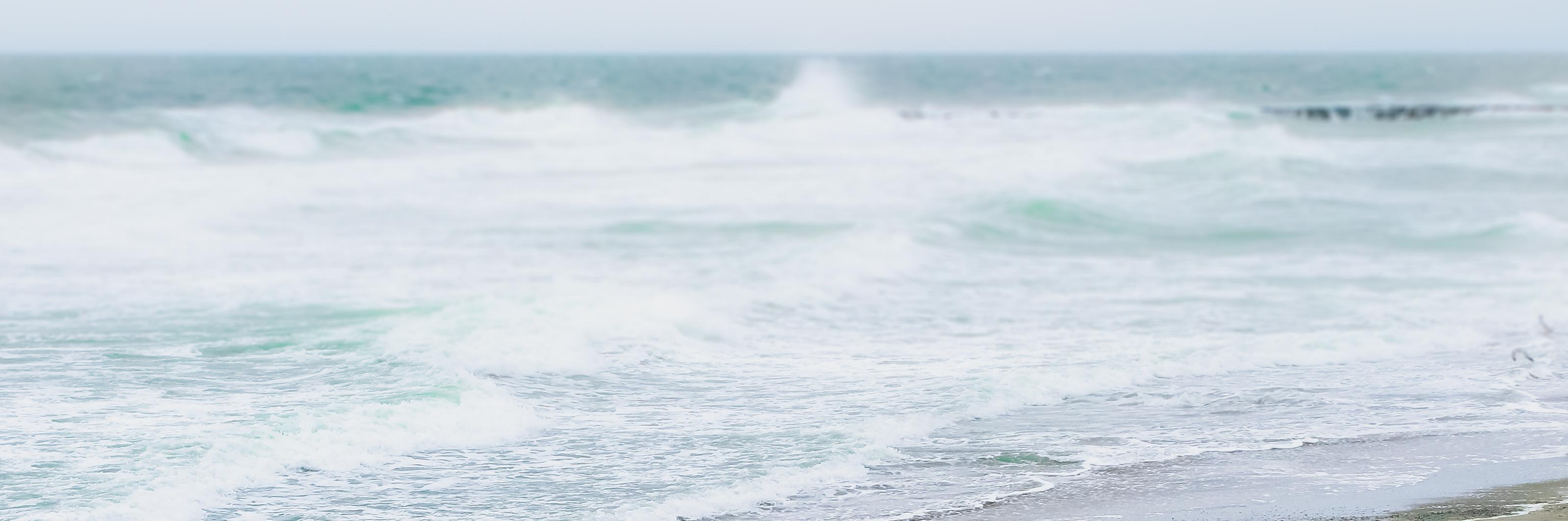 Colleen Kammerer banner