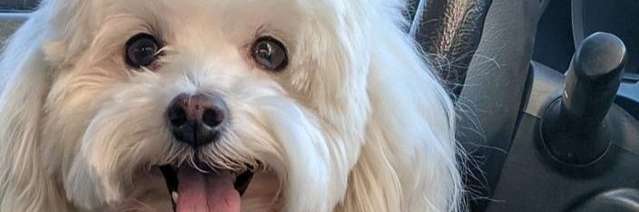 EgaBlovers's profile banner image