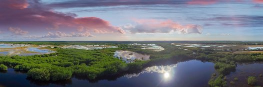 FloridaPanther's profile banner image
