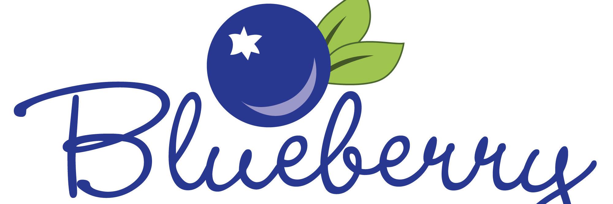 BlueberryHall's profile banner image
