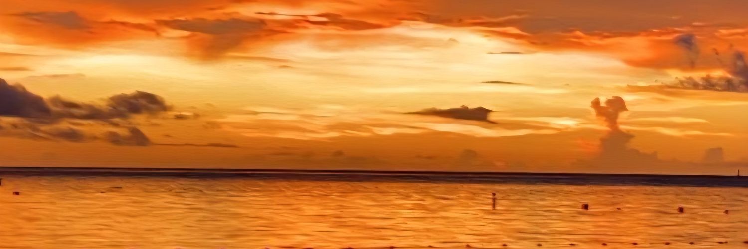arlettearchbold's profile banner image