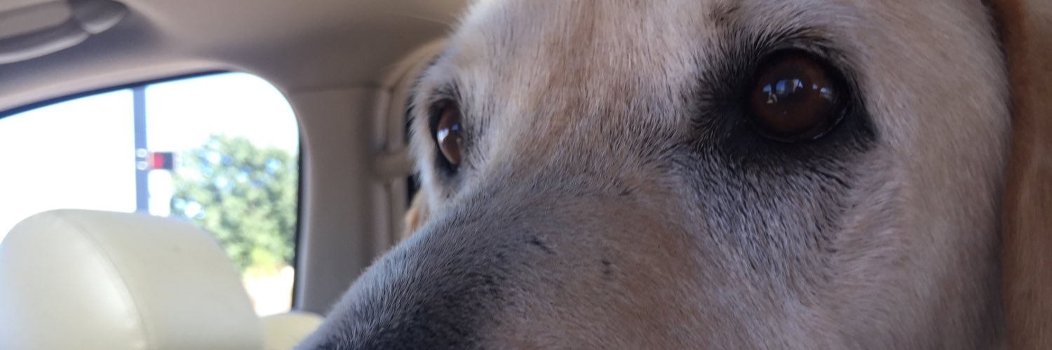 Connery Peters banner