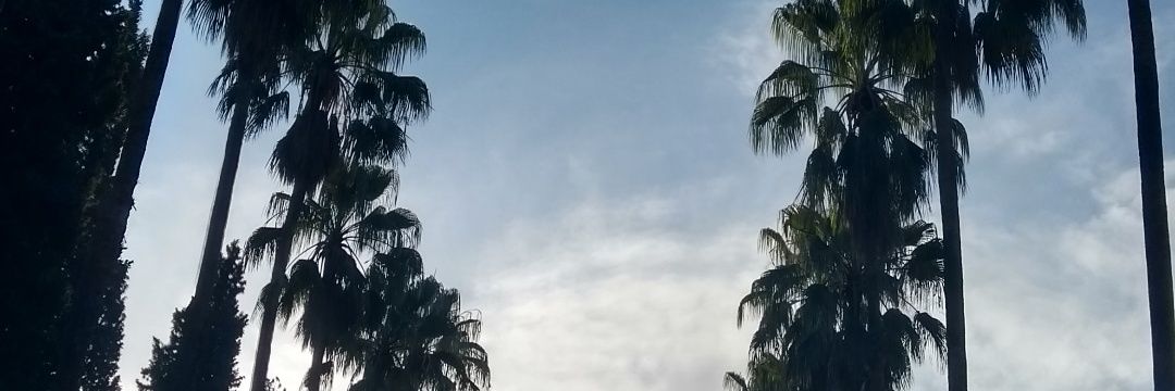 paurueda97's profile banner image