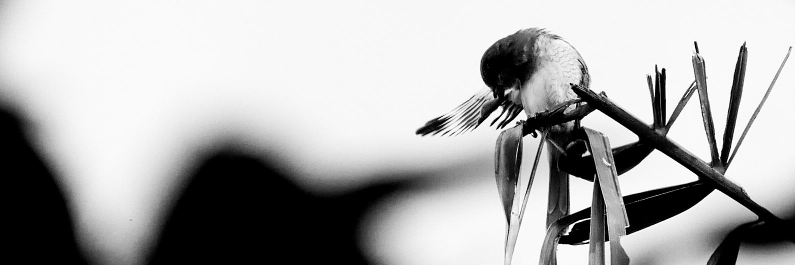 g3_seven's profile banner image